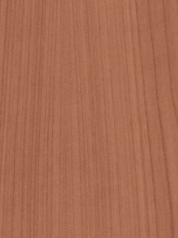 66 - LAMINATO ABET NOCE CHIAR 9803 5_10 NUTSHELL 305x130 006708.jpg